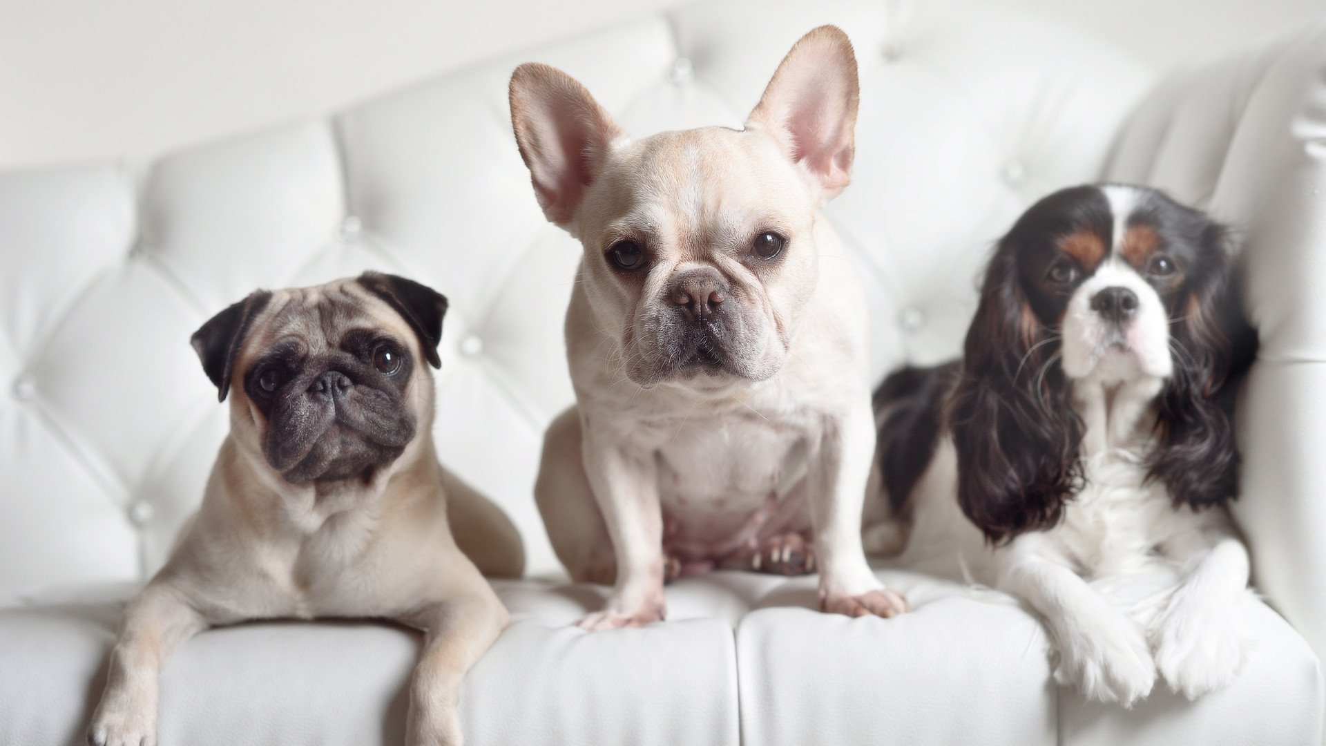 西班牙巅峰对决胜出罗马,穆勒F1新赛季揭幕战接管比赛—体育双星闪耀全球