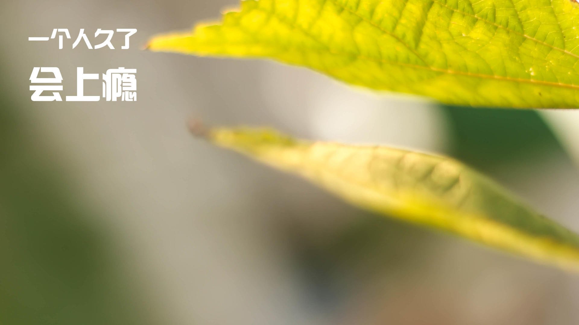 奥运门票争夺战，伊朗掀翻南美劲旅，亚洲豪强扛起命运